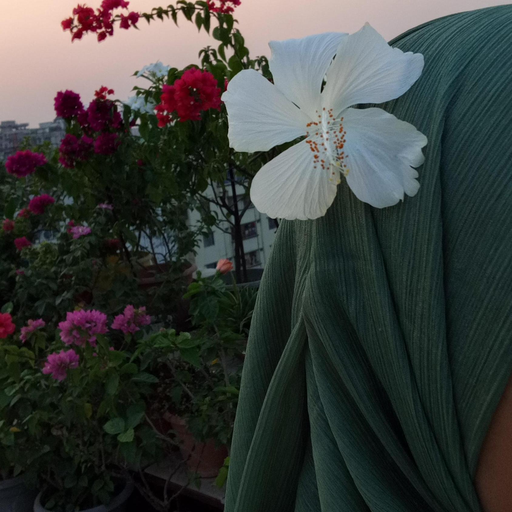 Tahmina Akhter  Akhi